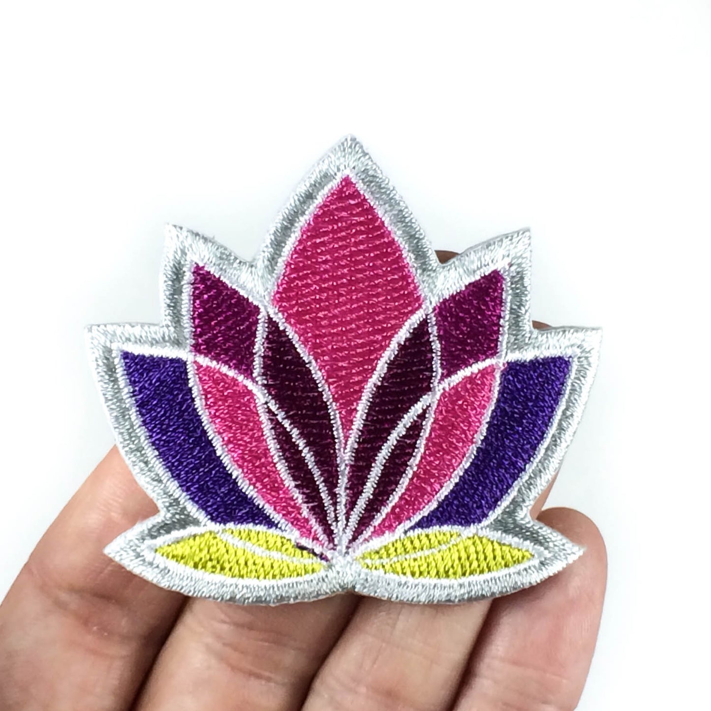 Lotus flower patch